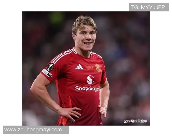 霍伊伦的传奇人生与不朽贡献探秘之旅