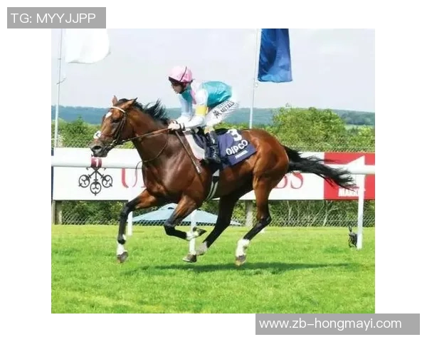 凤凰城水星与风暴的激烈对决揭示了篮球赛场上的无限可能与激情碰撞